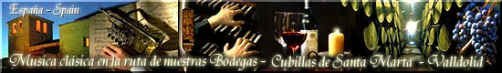 Conciertos de Órgano con Degustación de Vinos
           Organ Concerts with Wine Tastings